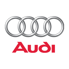 audi-car-immobiliser